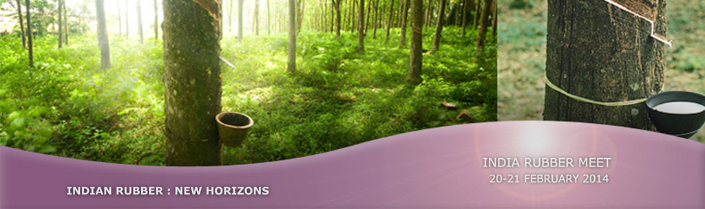 Slideshow Image 2