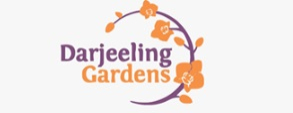 Darjeeling gardens